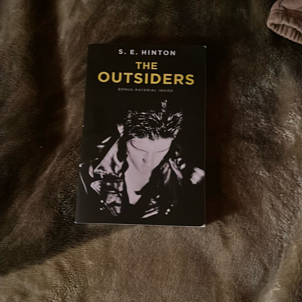 The outsiders book